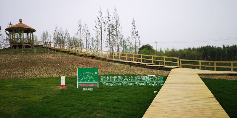 �P(y��ng)����ˎ�@ľ�������˽�ͤ��ƽ�_(t��i)��ˮ�